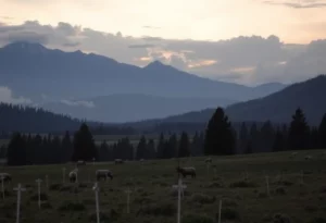 Serene Montana wilderness honoring the Anderson family