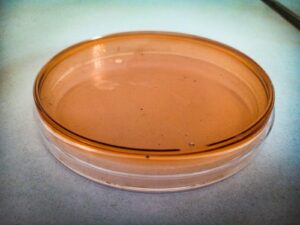 Boulder Testing Firm T-Bio Moves Research Lab to Huntsville Oct 30, 2026